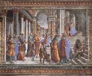 Domenicho Ghirlandaio Tempelgang Marias oil on canvas